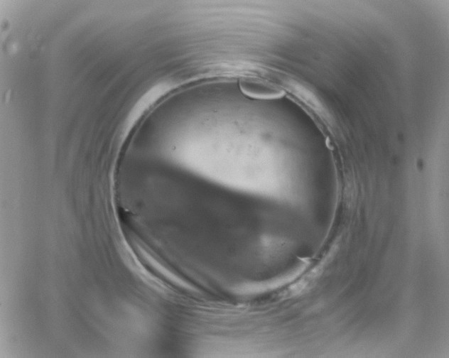 X0000066541283200603171231