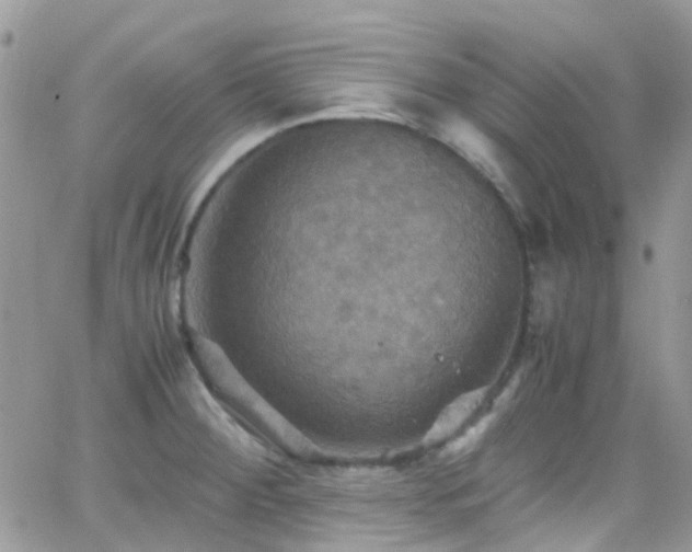 X0000066541284200603171231