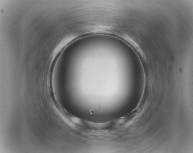 X0000066541285200603171231