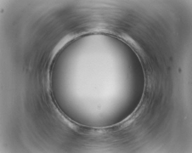 X0000066541286200603171231