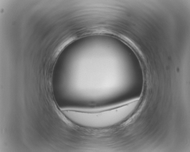 X0000066541289200603171231