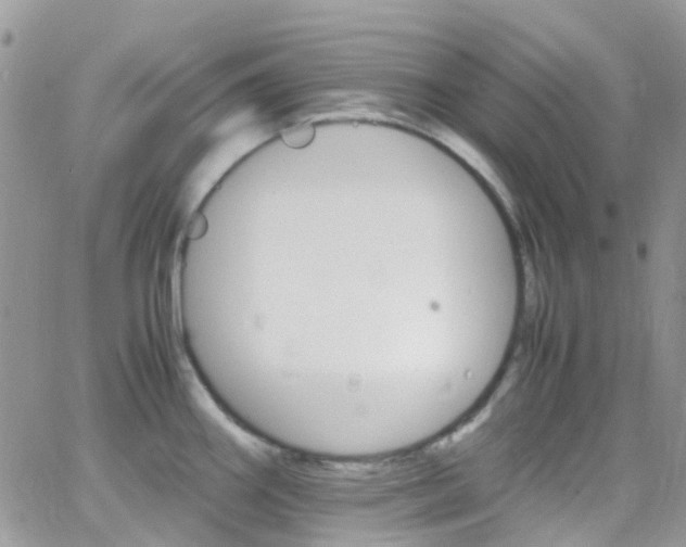 X0000066541290200603171231