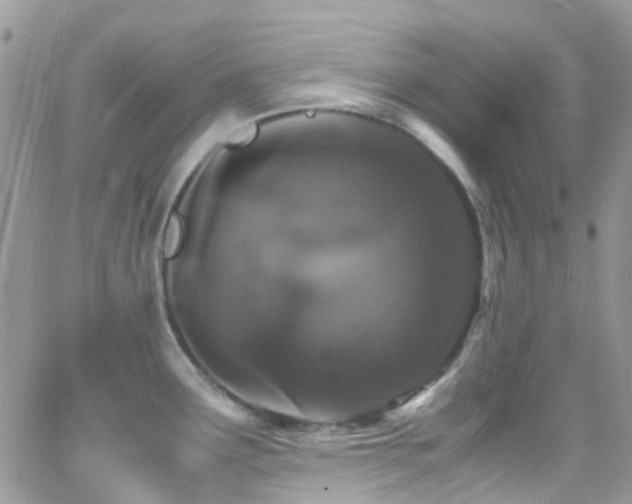 X0000066541291200603171231