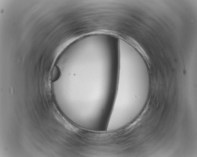 X0000066541292200603171231