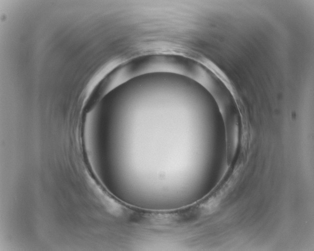 X0000066541293200603171231