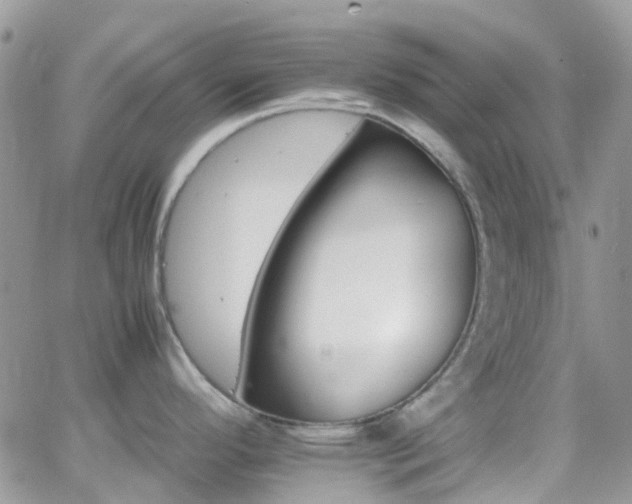 X0000066541296200603171231