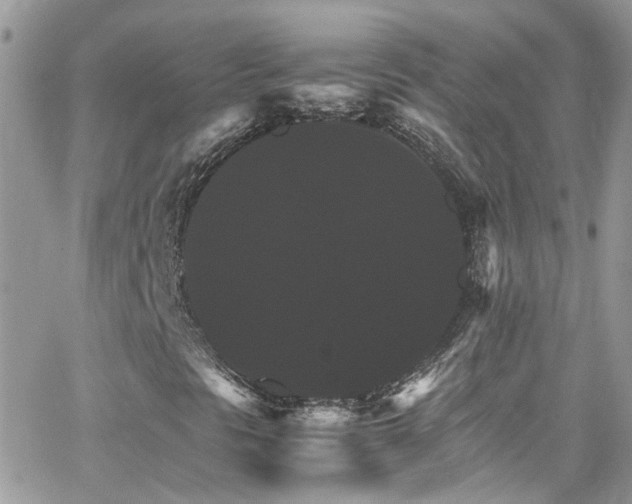 X0000066541297200603171230