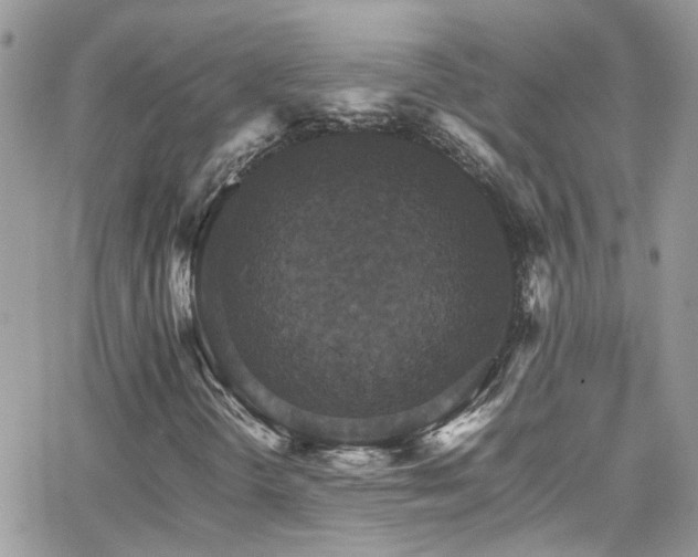 X0000066541298200603171230