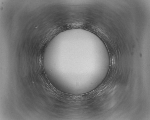 X0000066541299200603171230