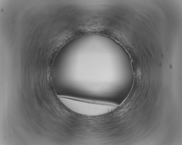 X0000066541300200603171230