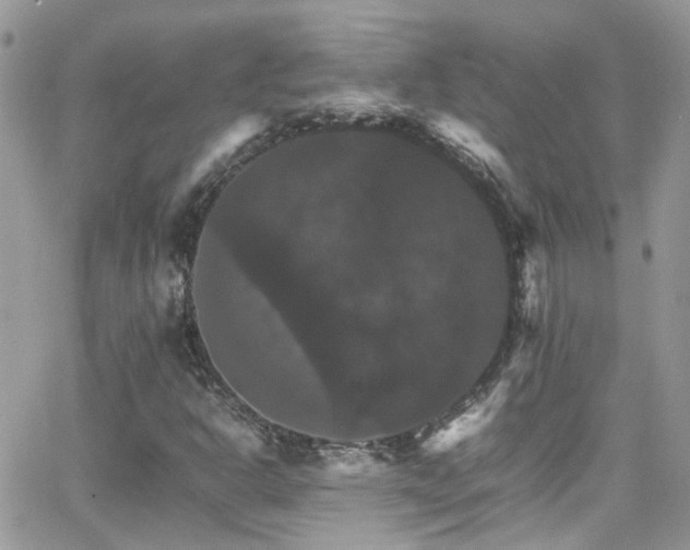 X0000066541302200603171230