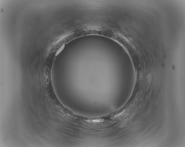 X0000066541303200603171230