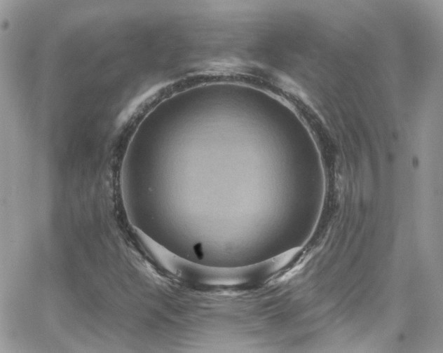 X0000066541304200603171230