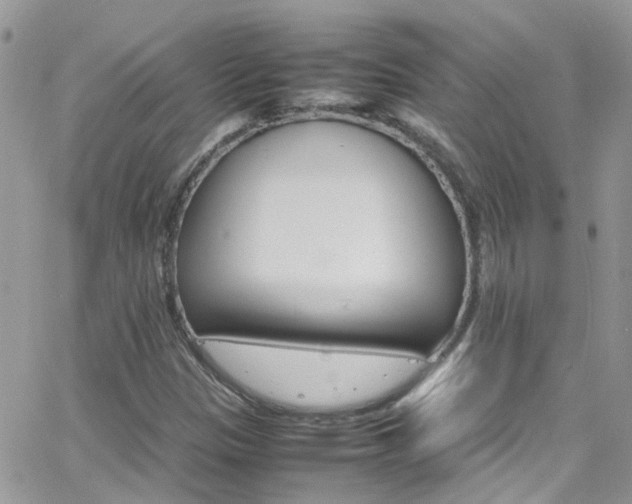 X0000066541305200603171230