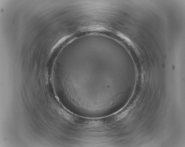 X0000066541306200603171230