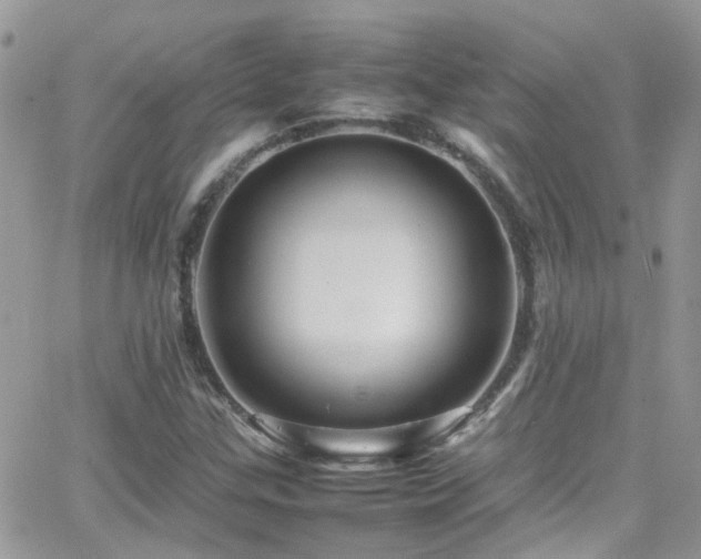 X0000066541307200603171231