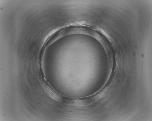 X0000066541308200603171231