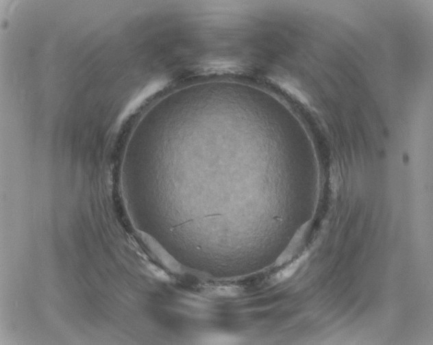 X0000066541309200603171231