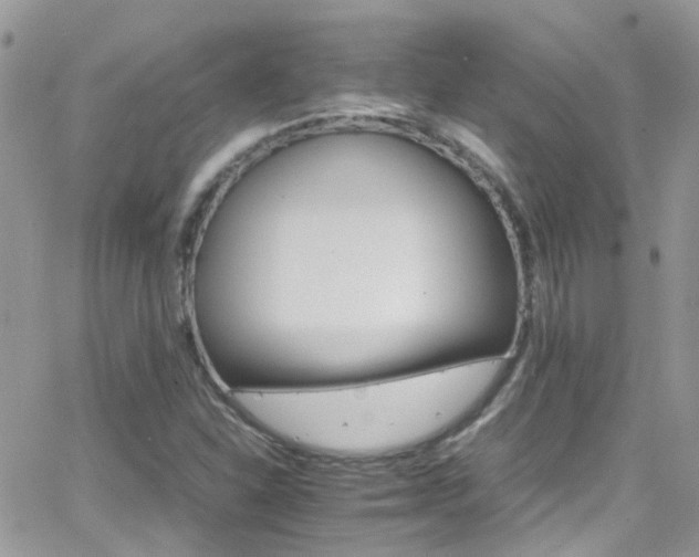 X0000066541310200603171231