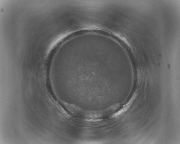 X0000066541311200603171231