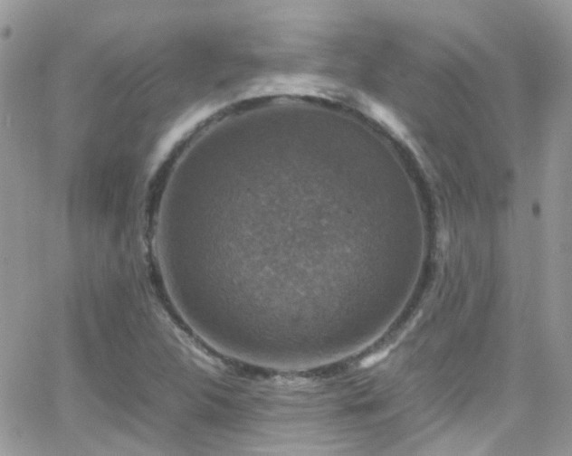 X0000066541312200603171231