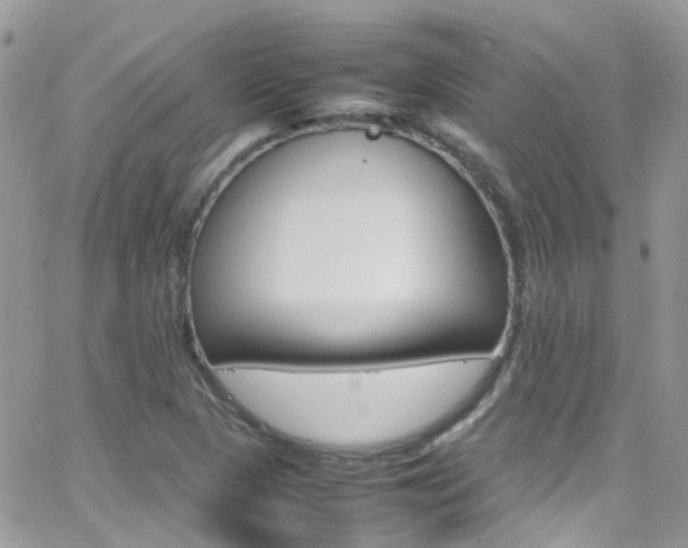 X0000066541313200603171231