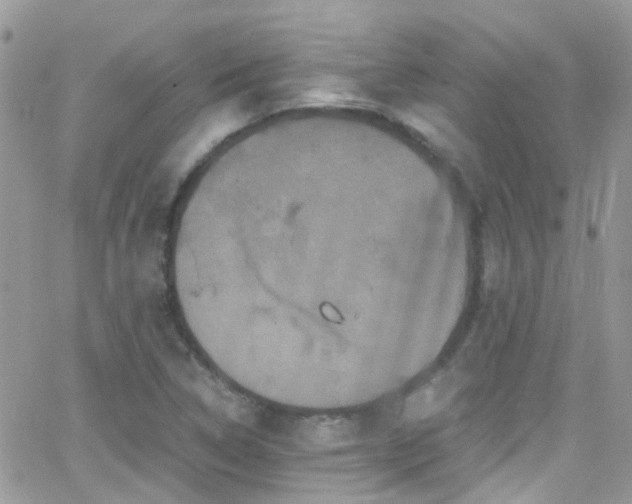 X0000066541314200603171231