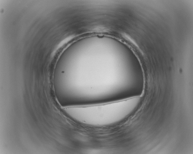 X0000066541315200603171231