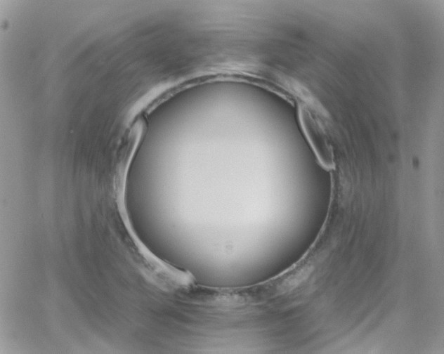 X0000066541316200603171231