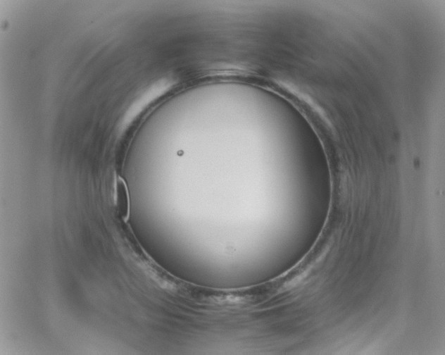 X0000066541317200603171231