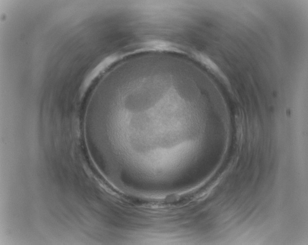 X0000066541318200603171231