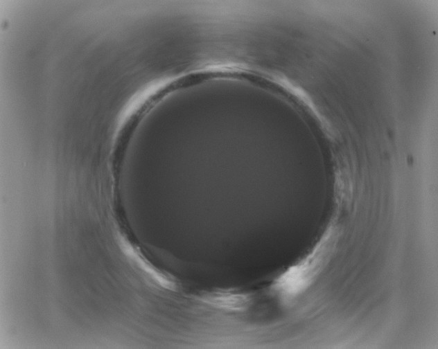 X0000066541319200603171231