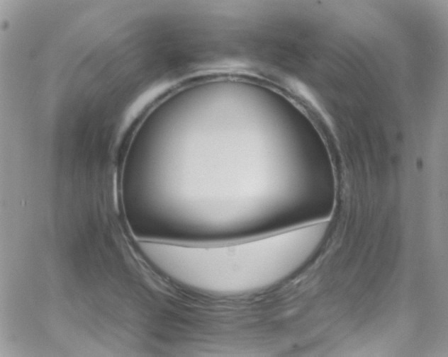 X0000066541320200603171231