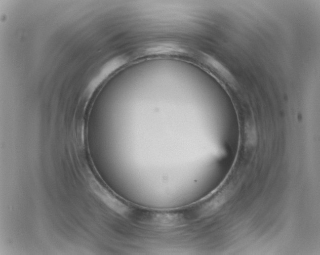 X0000066541322200603171231