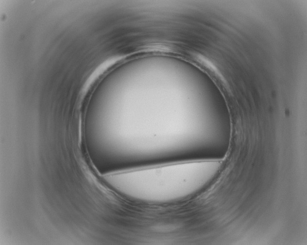 X0000066541323200603171231