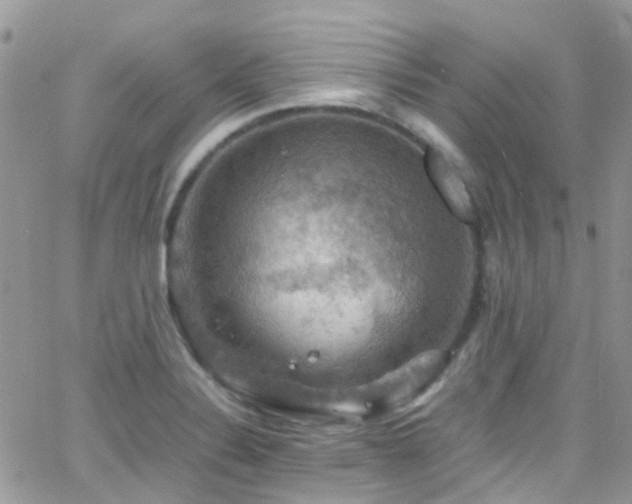 X0000066541324200603171231