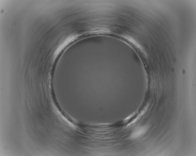 X0000066541325200603171231