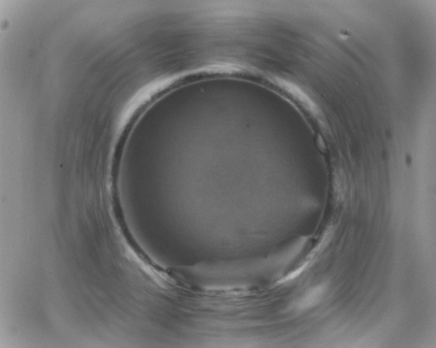 X0000066541327200603171231