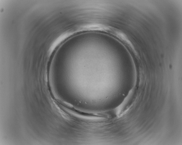 X0000066541328200603171231