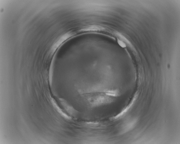 X0000066541329200603171231