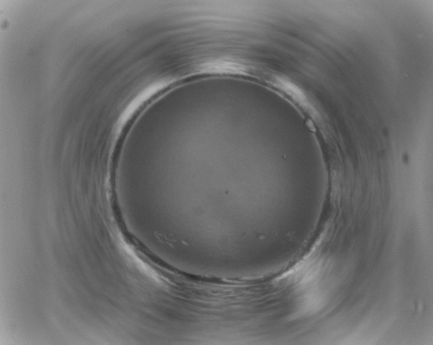 X0000066541331200603171231