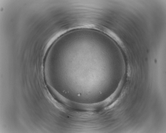 X0000066541332200603171231