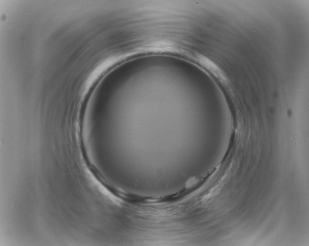 X0000066541334200603171231