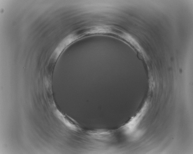 X0000066541337200603171231