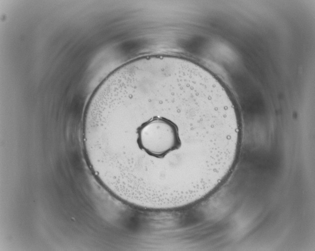 X0000066541338200603171231