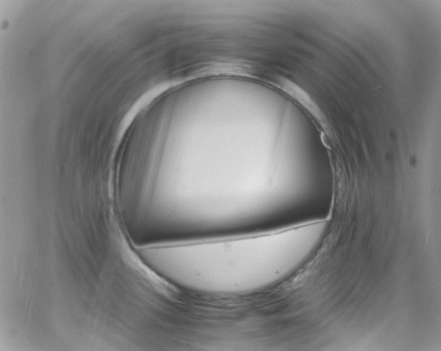 X0000066541339200603171231