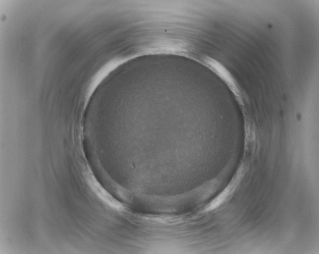 X0000066541340200603171231