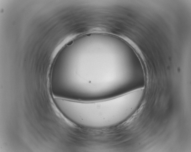 X0000066541341200603171231