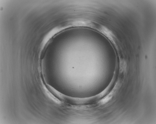 X0000066541342200603171231