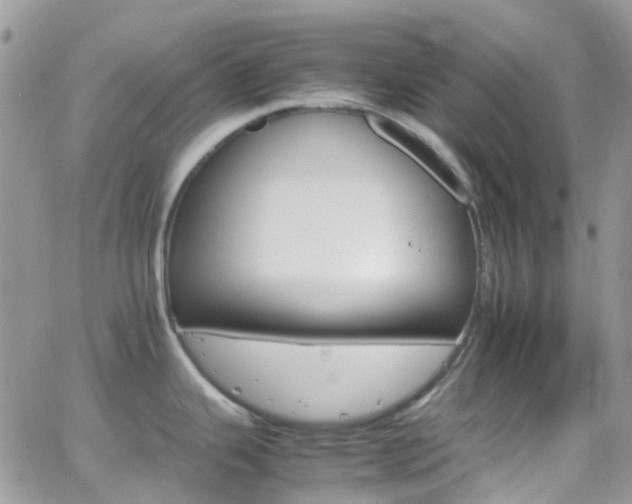 X0000066541343200603171231